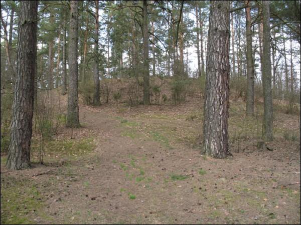 Vilejka. Site of ancient settlement 