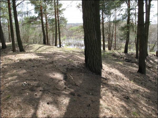 Vilejka. Site of ancient settlement 