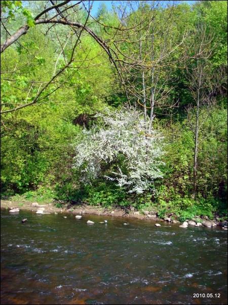 Wilno. Dzielnica Zarzecze