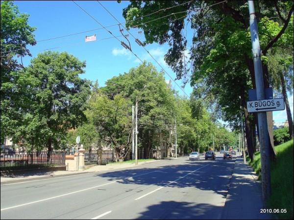  - Neighbourhood Antakalnis. 