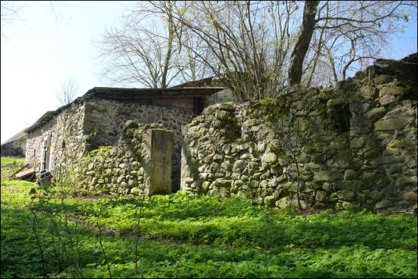 Žukievččč-Poniemuń. Manor 