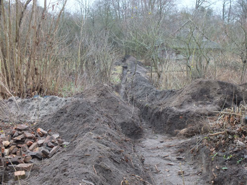 Ostrówie. Park dworski Traugutta