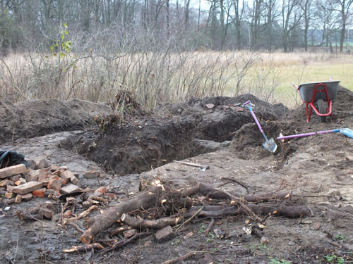 Ostrówie. Park dworski Traugutta