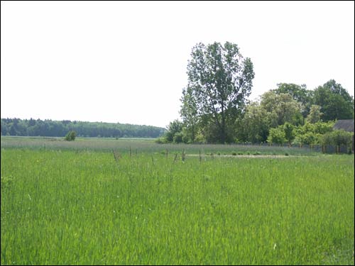 Збураж. Краявіды 