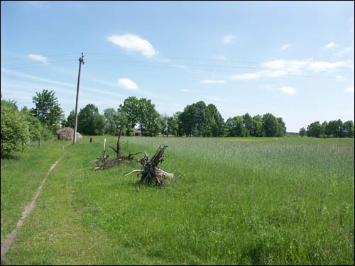 Збураж. Пейзажи 