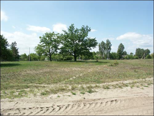 Збураж. Пейзажи 