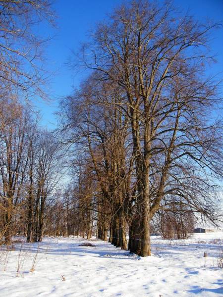 Takaryški. Landscapes