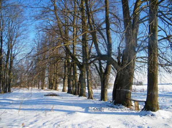 Takaryški. Landscapes