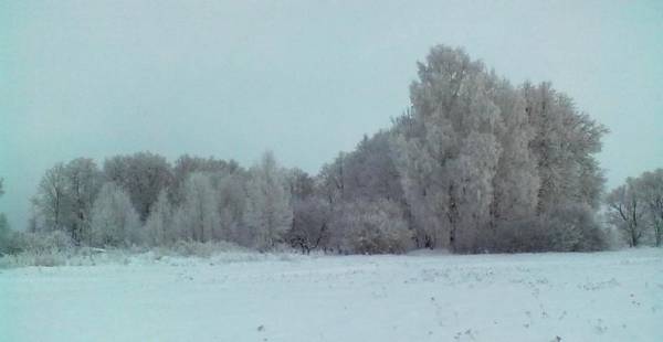 Takaryški. Landscapes