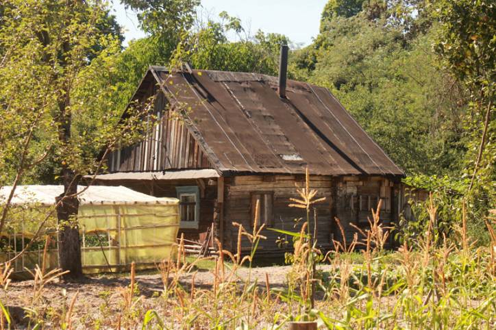 Бердуны |  Приусадебный парк при бывшей усадьбе Клиановских. 