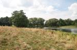 Planta.  Manor park 