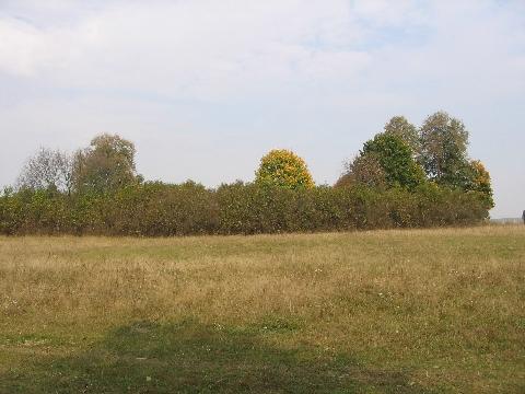 Czerniewicze. Park dworski Skirmunttów