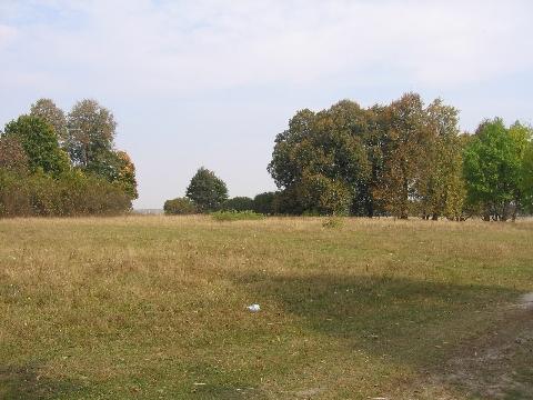 Czerniewicze. Park dworski Skirmunttów