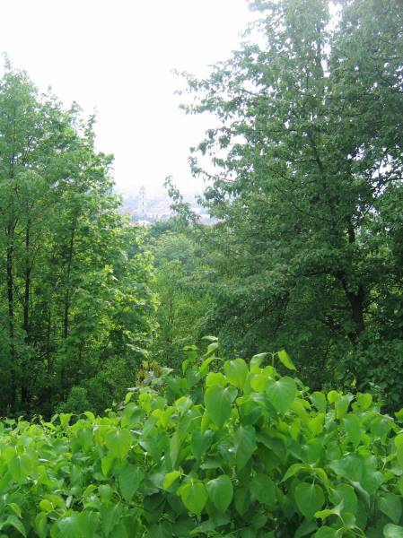  -  Wilno - Okres przedchrześcijański. 