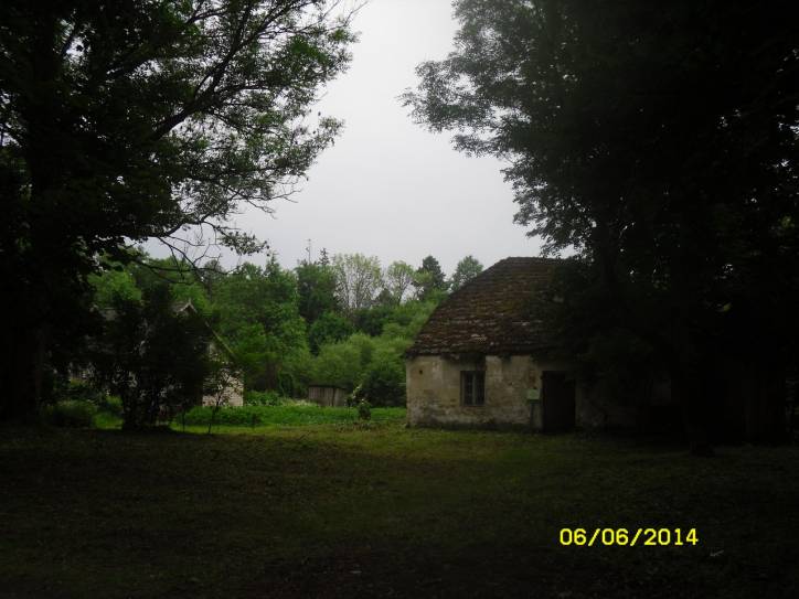 Дубой. Приусадебный парк при бывшей усадьбе Куженецких