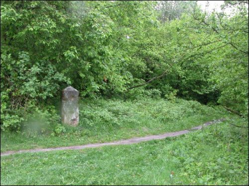 Логишин. Кладбище еврейское