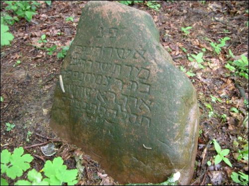 Логишин. Кладбище еврейское