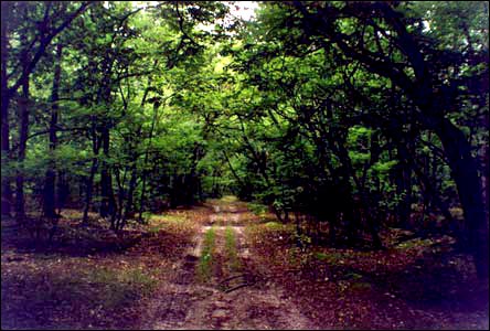 Porzecze. Zespół dworsko-parkowy Skirmunttów
