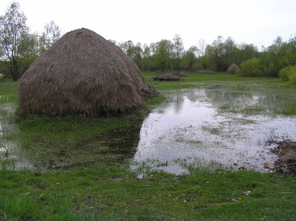 Паре. Пейзажи 