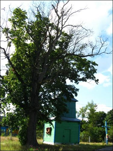 Вылазы. Церковь Рождества Пресвятой Богородицы