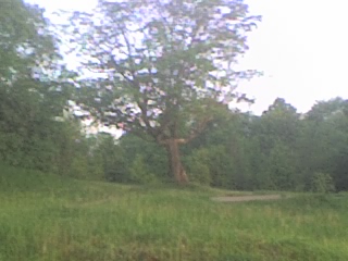 Bliznaja. Farmstead of Miłaczewski