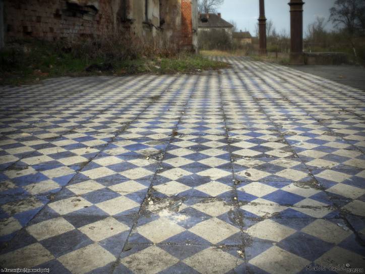  - Zespół pałacowo-parkowy Dziakońskich. 
