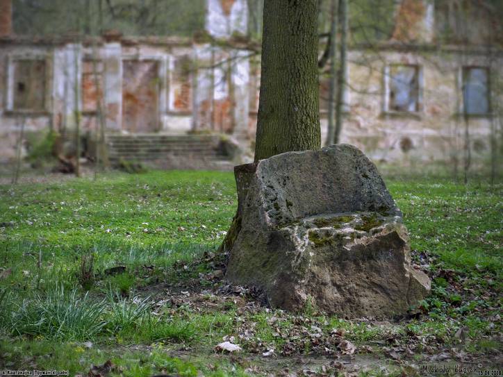  - Zespół pałacowo-parkowy Dziakońskich. 