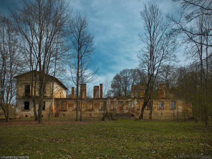  - Zespół pałacowo-parkowy Dziakońskich. 