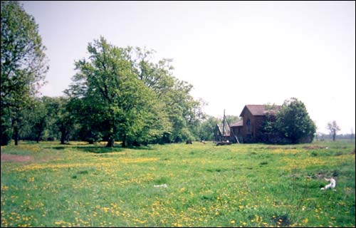 Зеновиль (Лежайка). Приусадебный парк при бывшей усадьбе Вислоухов