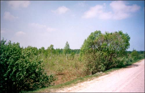 Зеновиль (Лежайка). Приусадебный парк при бывшей усадьбе Вислоухов
