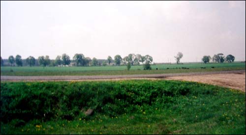 Зеновиль (Лежайка). Приусадебный парк при бывшей усадьбе Вислоухов