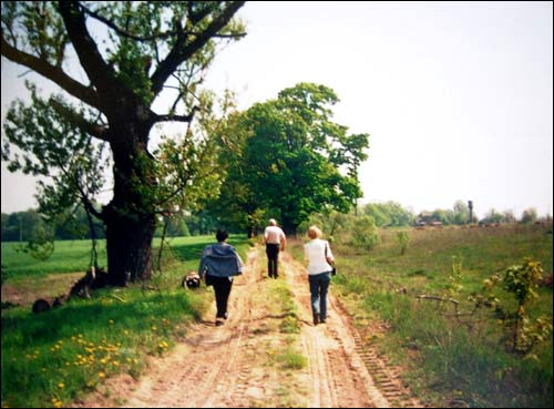 Зеновиль (Лежайка). Приусадебный парк при бывшей усадьбе Вислоухов