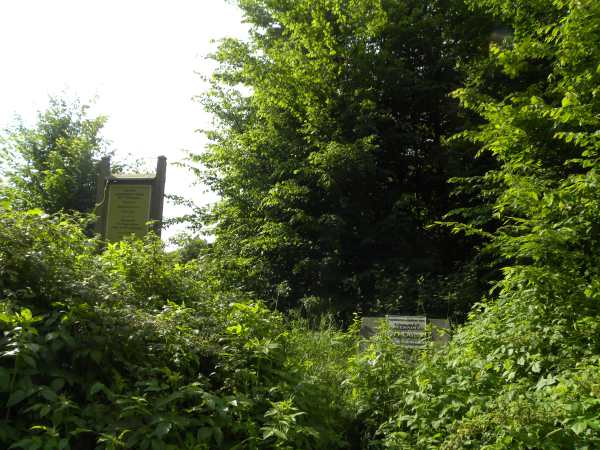 Łyskava.  Ramparts of the former Royal castle