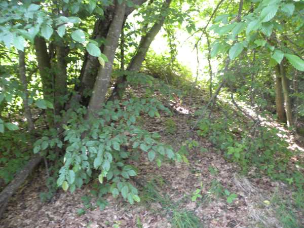 Łyskava.  Ramparts of the former Royal castle