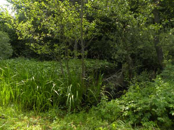  -  Ramparts of the former Royal castle. 