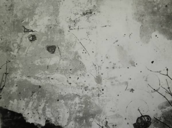  -  Замок Сапегов, руины. 