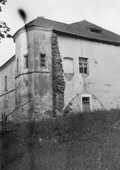  -  Замок Сапегов, руины. 