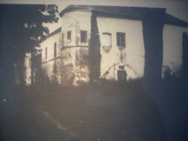 Гальшаны |   Замак Сапегаў, руіны. 