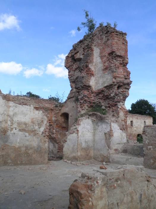  -  Замок Сапегов, руины. Расчистка развалин Гольшанского замка