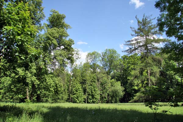 Несвиж. Парк Марысин