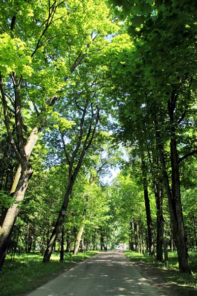 Несвиж. Парк Марысин