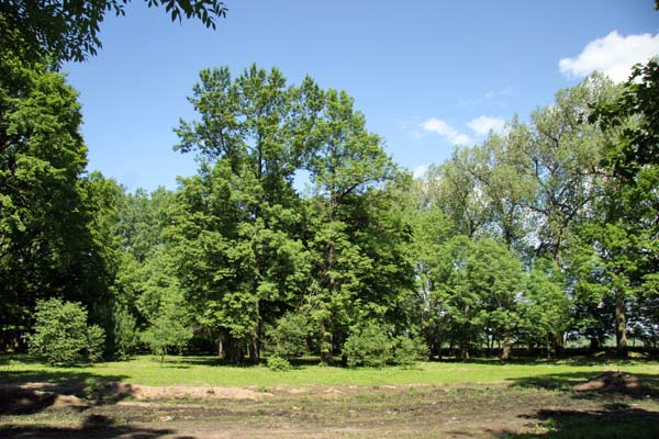 Несвиж. Парк Марысин