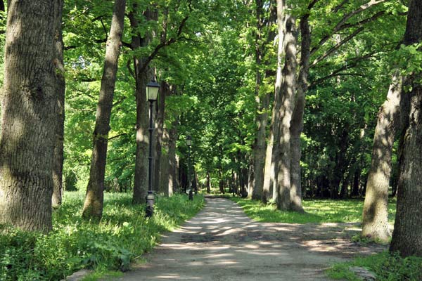 Несвиж. Парк Марысин