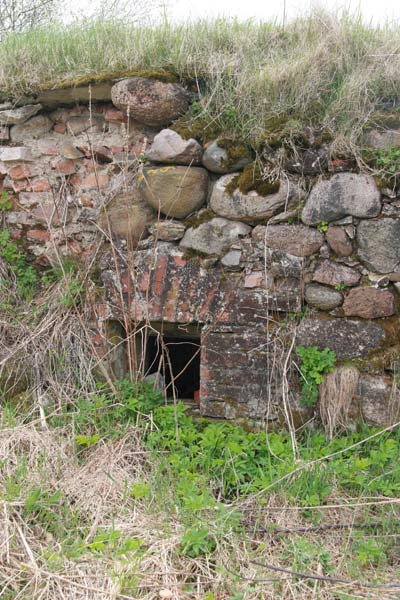 Distillery  . Cellar, detail  - Distillery . Cellar, detail