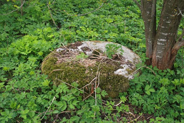 Distillery  . Mill stone  - Distillery . Mill stone