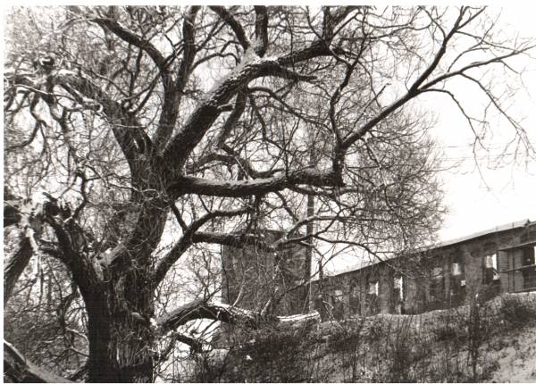  -  Mirski zamek na starych fotografiach. 