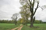 Hrudopal.  Manor park 