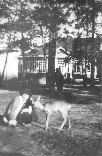 Местечко на старых фотографиях  Суботниках.   - Местечко на старых фотографиях .