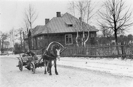Местечко на старых фотографиях  Суботниках.   - Местечко на старых фотографиях .
