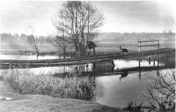 Местечко на старых фотографиях  Суботниках.   - Местечко на старых фотографиях .